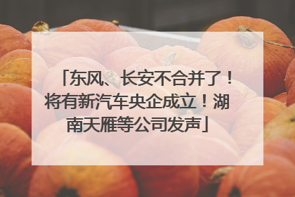 东风、长安不合并了！将有新汽车央企成立！湖南天雁等公司发声